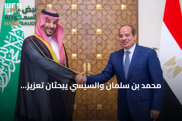 محمد بن سلمان والسيسي يبحثان تعزيز العلاقات الاستراتيجية في لقاء بالقاهرة
