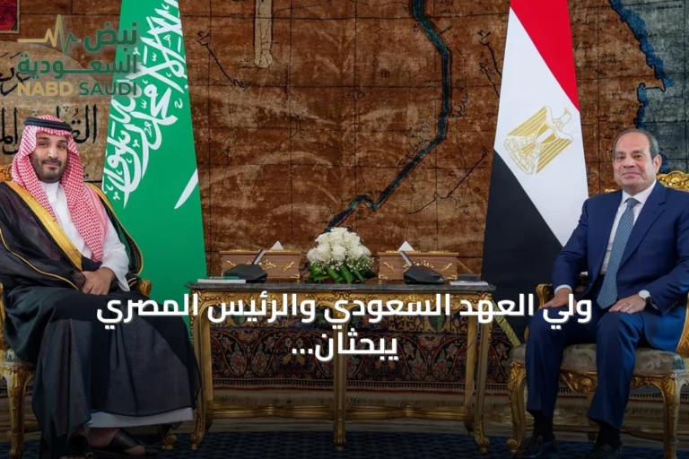 ولي العهد السعودي والرئيس المصري يبحثان في القاهرة تعزيز العلاقات وأمن المنطقة