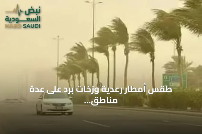 طقس أمطار رعدية وزخات برد على عدة مناطق سعودية