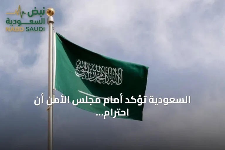 السعودية تؤكد أمام مجلس الأمن أن احترام القانون الدولي يضمن السلم والأمن