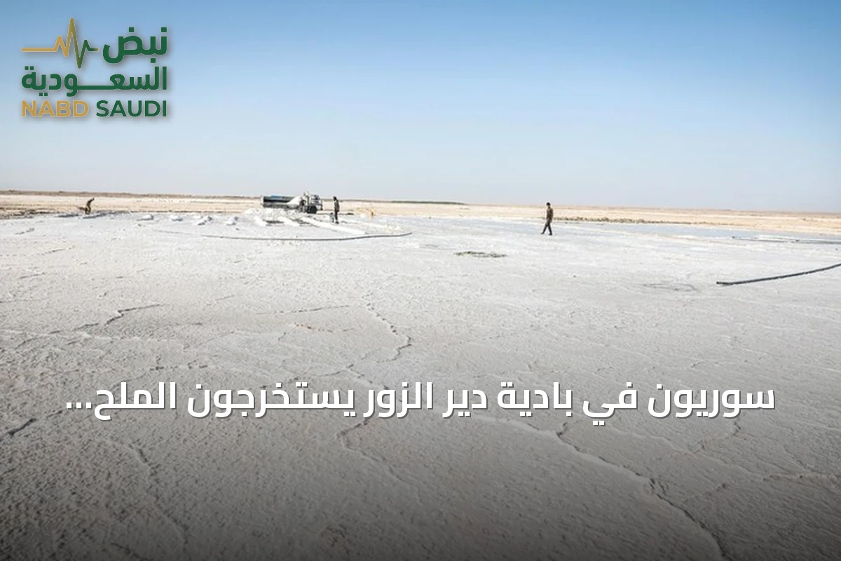 سوريون في بادية دير الزور يستخرجون الملح تحت حرارة شديدة