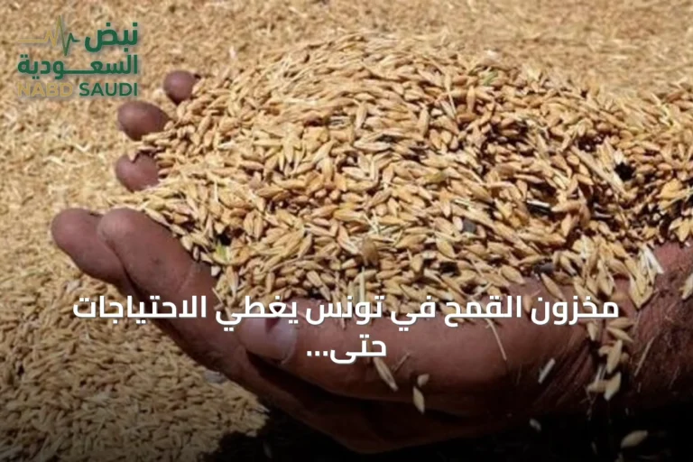 مخزون القمح في تونس يغطي الاحتياجات حتى يناير المقبل