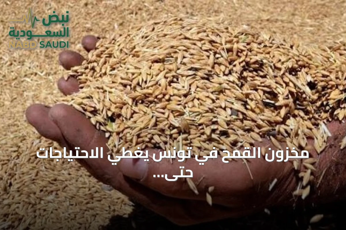 مخزون القمح في تونس يغطي الاحتياجات حتى يناير المقبل
