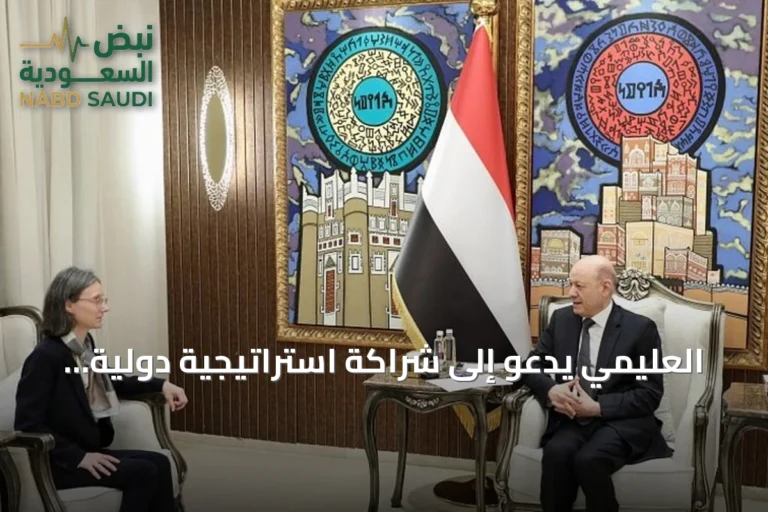 العليمي يدعو إلى شراكة استراتيجية دولية شاملة في الأمن والردع وتأمين الموانئ