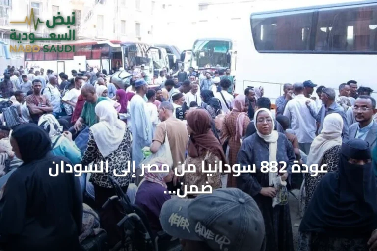 عودة 882 سودانياً من مصر إلى السودان ضمن مبادرة العودة الطوعية