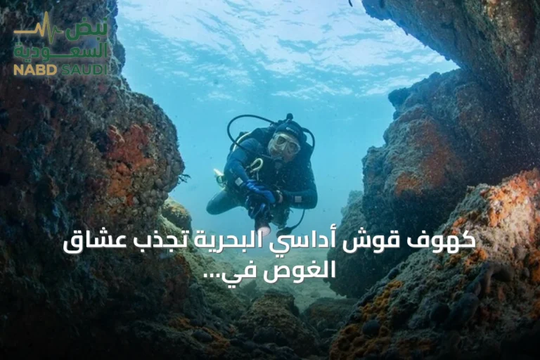 كهوف قوش أداسي البحرية تجذب عشاق الغوص في تركيا
