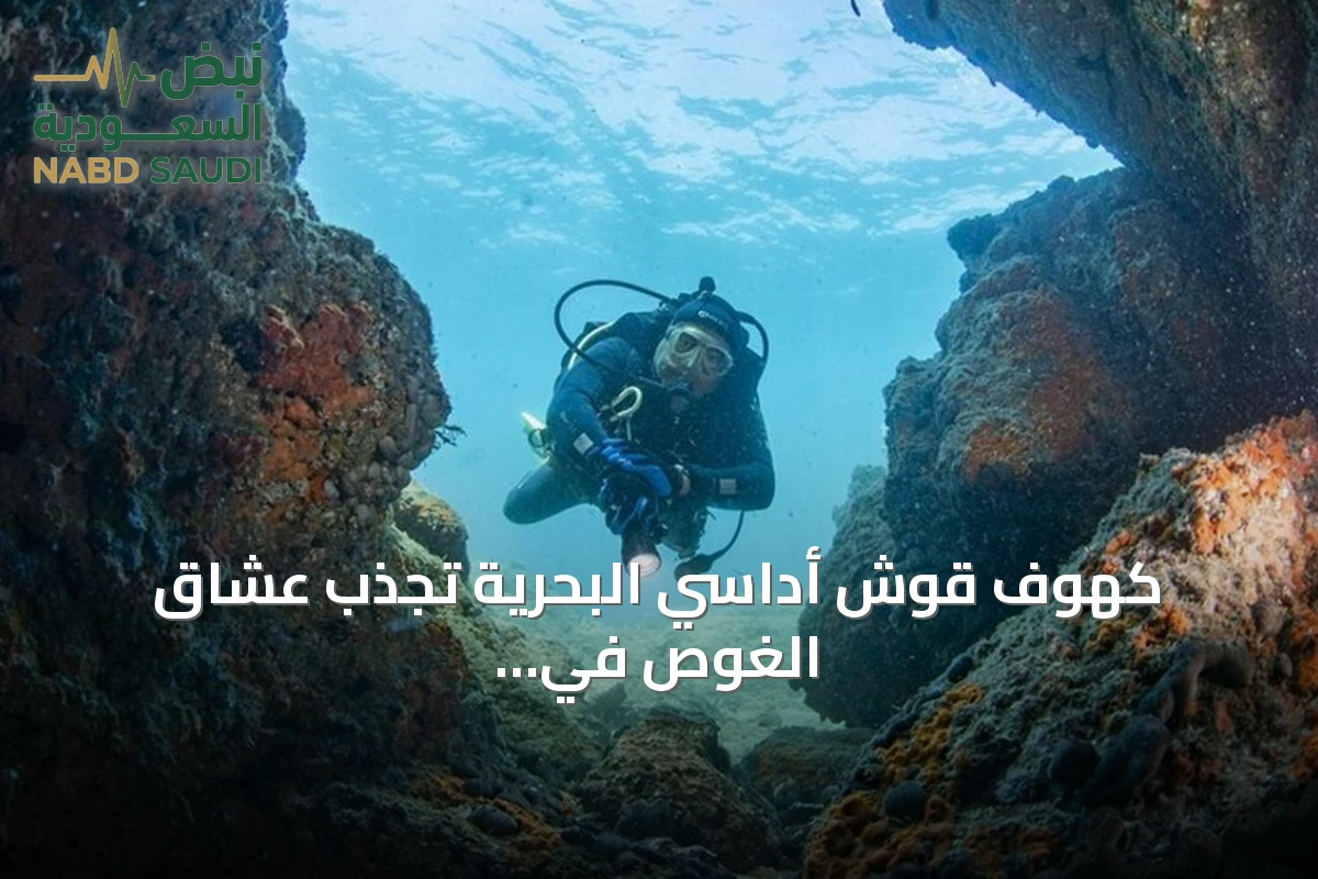 كهوف قوش أداسي البحرية تجذب عشاق الغوص في تركيا