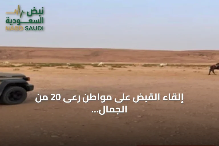 إلقاء القبض على مواطن رعى 20 من الجمال داخل منطقة محظورة بمحمية الملك عبدالعزيز