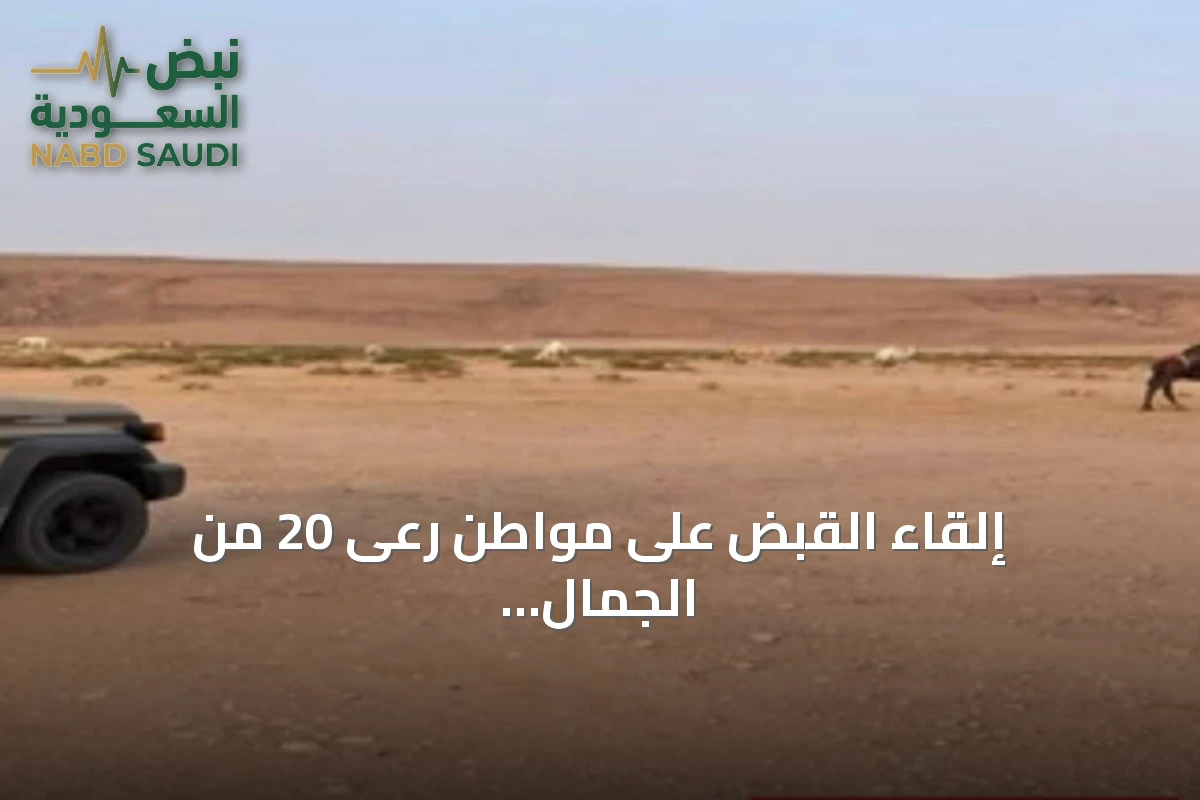 إلقاء القبض على مواطن رعى 20 من الجمال داخل منطقة محظورة بمحمية الملك عبدالعزيز