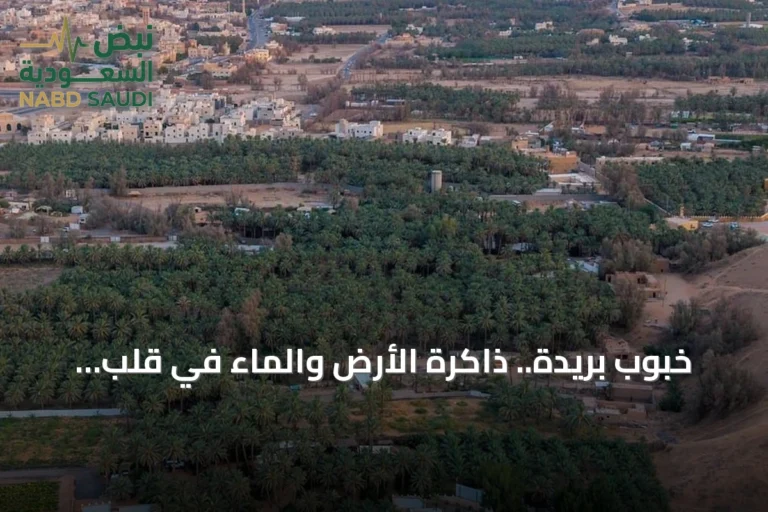 خبوب بريدة.. ذاكرة الأرض والماء في قلب القصيم