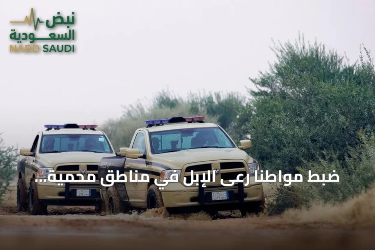 ضبط مواطنًا رعى الإبل في مناطق محمية بالرياض من قبل القوات الخاصة للأمن البيئي