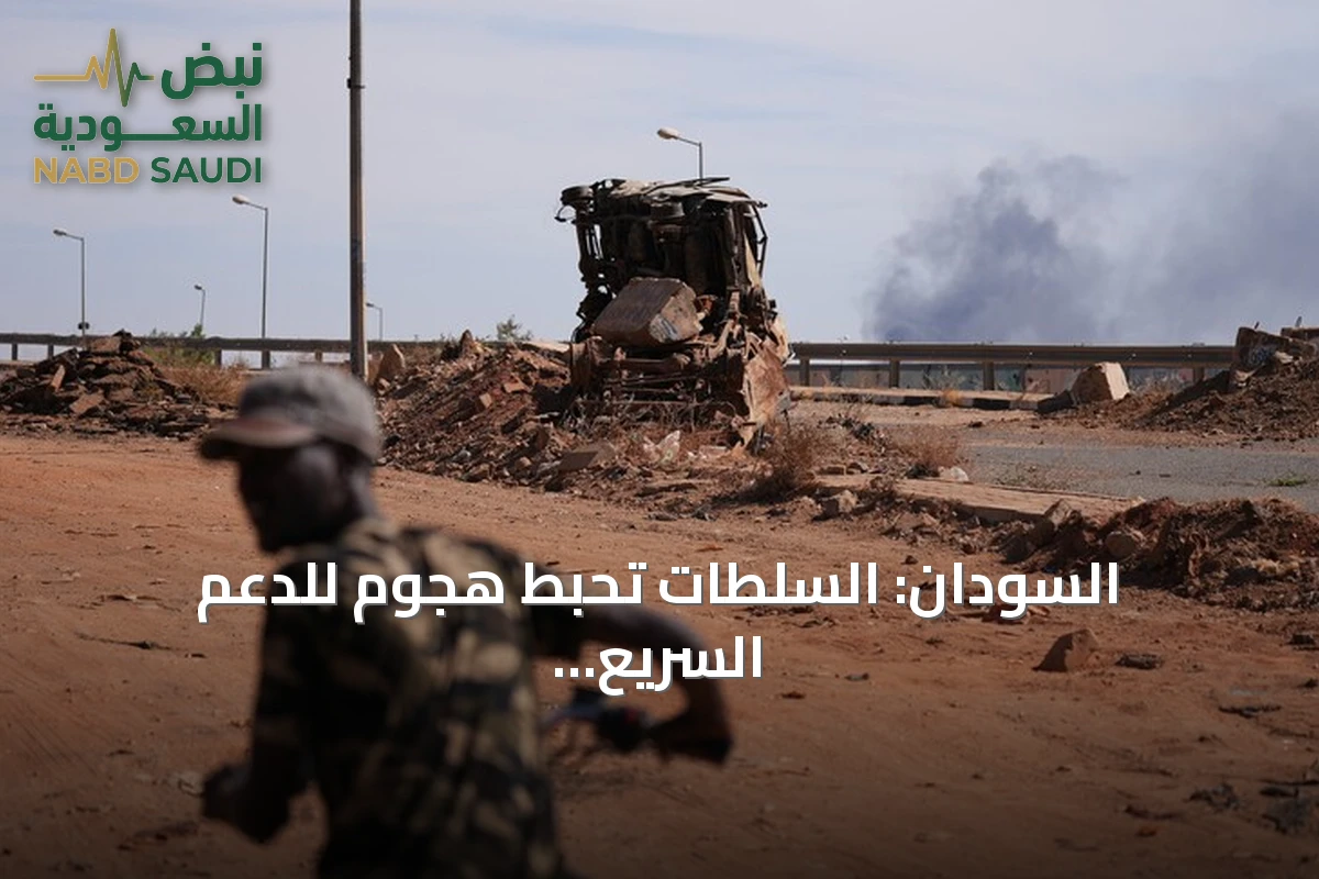 السودان: السلطات تُحبط هجوم للدعم السريع والحركة الشعبية/ شمال في النيل الأزرق