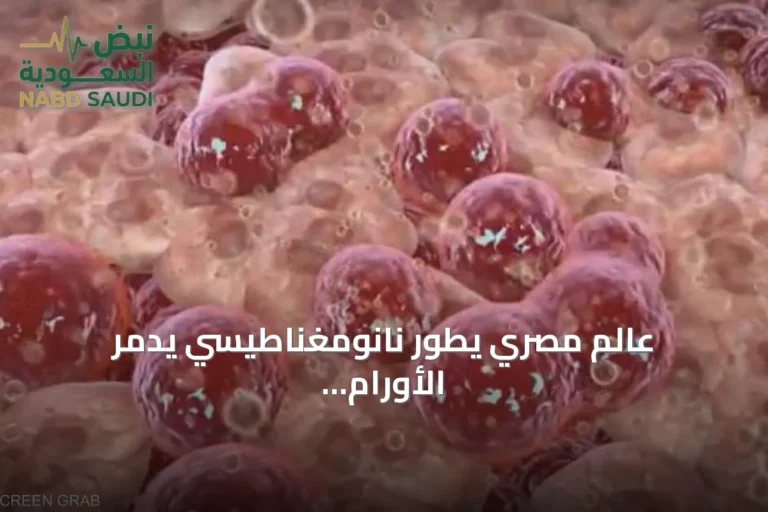عالم مصري يطور نانومغناطيسي يدمر الأورام الصلبة ويحصل على جائزة ماري كوري 2026