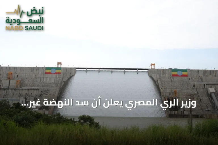 وزير الري المصري يعلن أن سد النهضة غير شرعي ويحتفظ بحق اتخاذ الإجراءات اللازمة