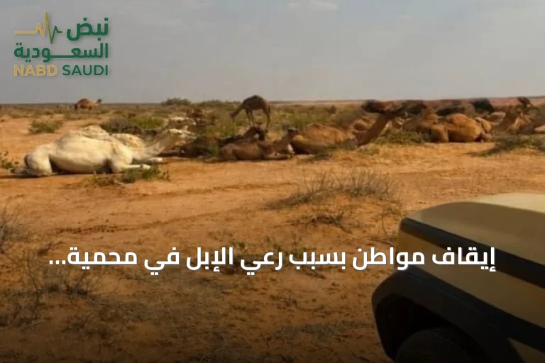إيقاف مواطن بسبب رعي الإبل في محمية الإمام عبدالعزيز بن محمد