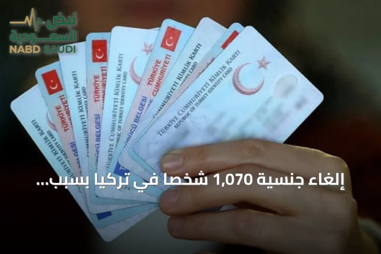 إلغاء جنسية 1,070 شخصاً في تركيا بسبب معاملات عقارية غير قانونية