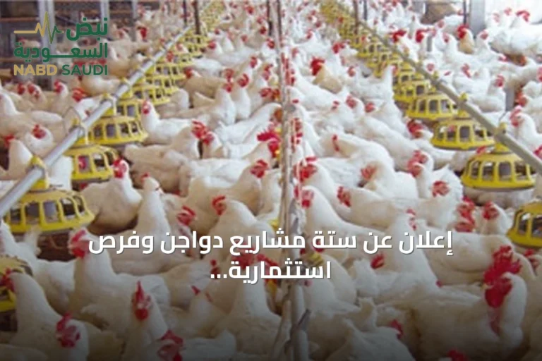إعلان عن ستة مشاريع دواجن وفرص استثمارية جديدة بمنطقة مكة المكرمة