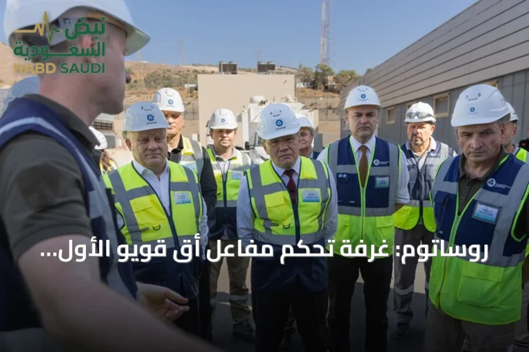 روساتوم: غرفة تحكم مفاعل أق قويو الأول جاهزة والترخيص يسبق التشغيل