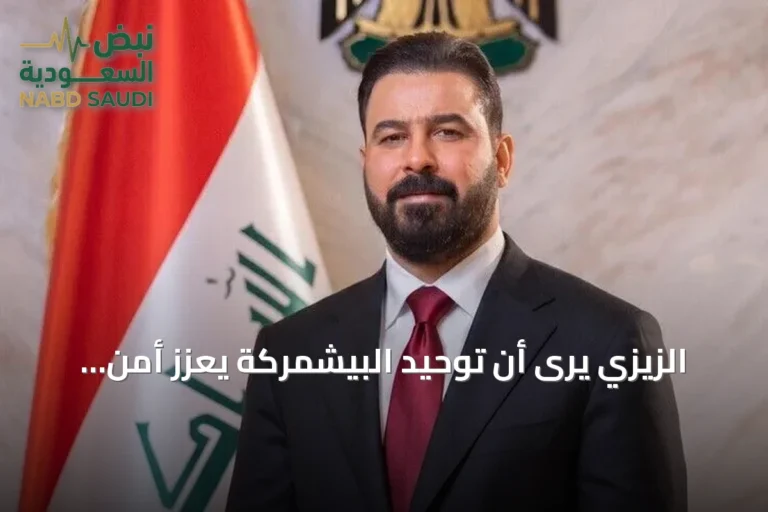 الزيزي يرى أن توحيد البيشمركة يعزز أمن العراق ويوحد قراره الدفاعي