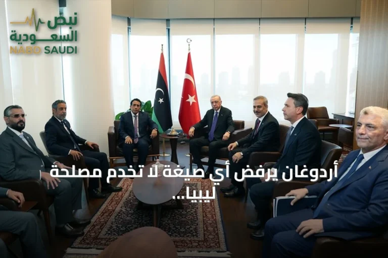 أردوغان يرفض أي صيغة لا تخدم مصلحة ليبيا ويؤكد دعم استقرارها