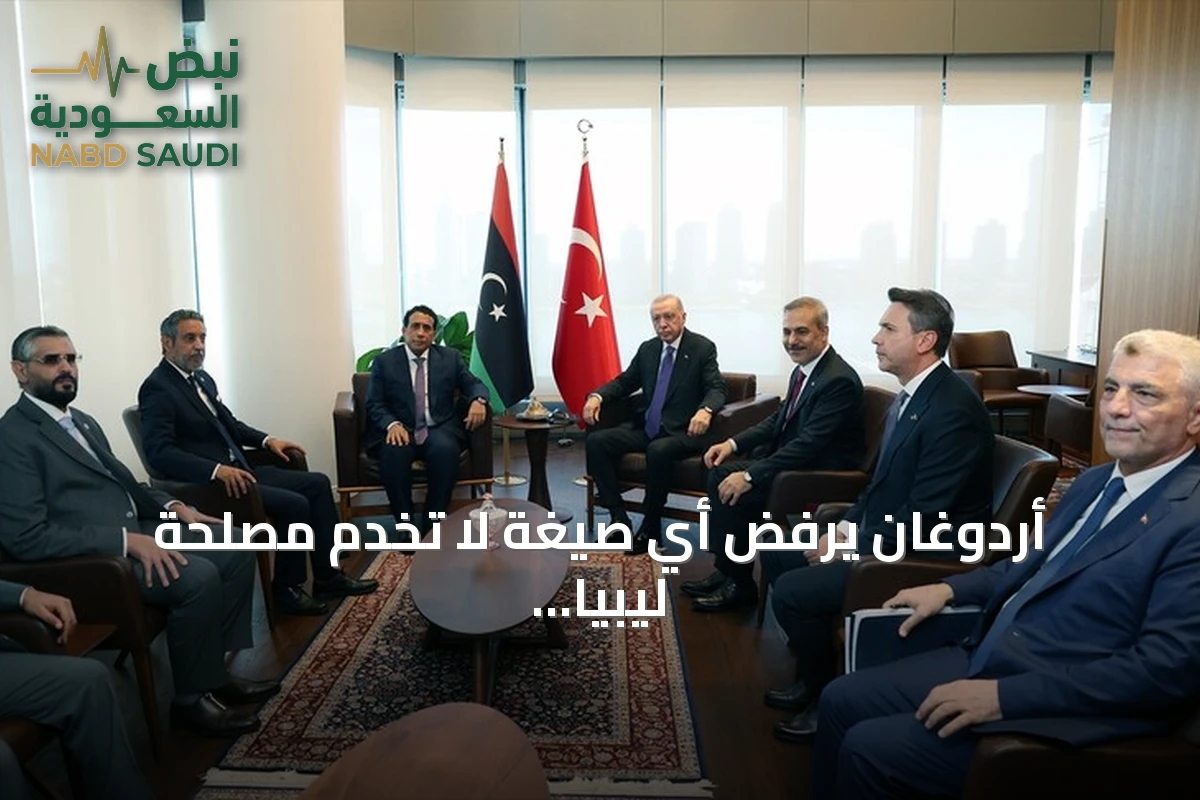 أردوغان يرفض أي صيغة لا تخدم مصلحة ليبيا ويؤكد دعم استقرارها