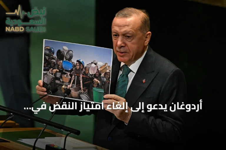 أردوغان يدعو إلى إلغاء امتياز النقض في مجلس الأمن وإجراء إصلاحات جوهرية