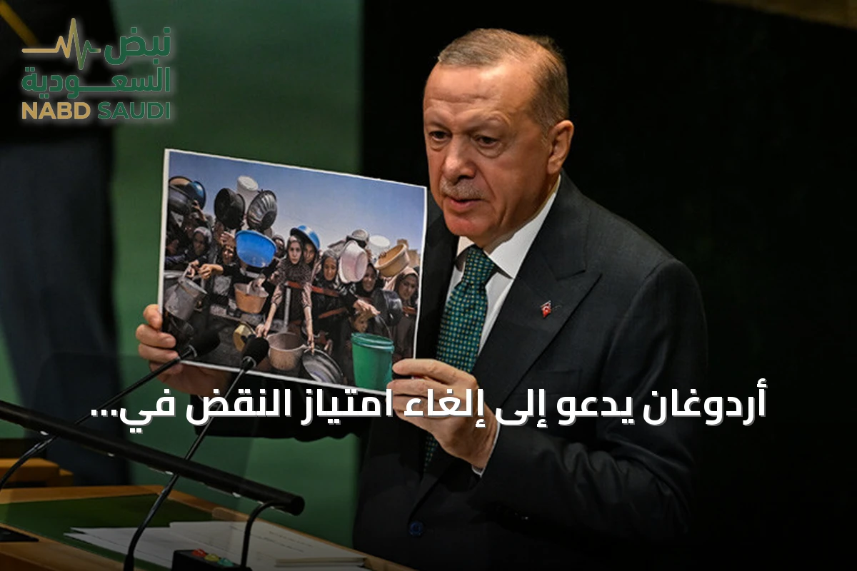 أردوغان يدعو إلى إلغاء امتياز النقض في مجلس الأمن وإجراء إصلاحات جوهرية
