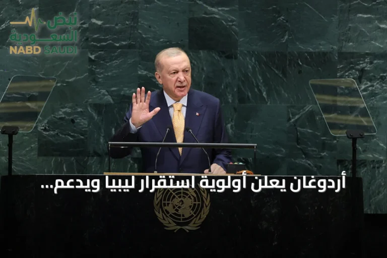 أردوغان يعلن أولوية استقرار ليبيا ويدعم جهود السلام الإقليمية