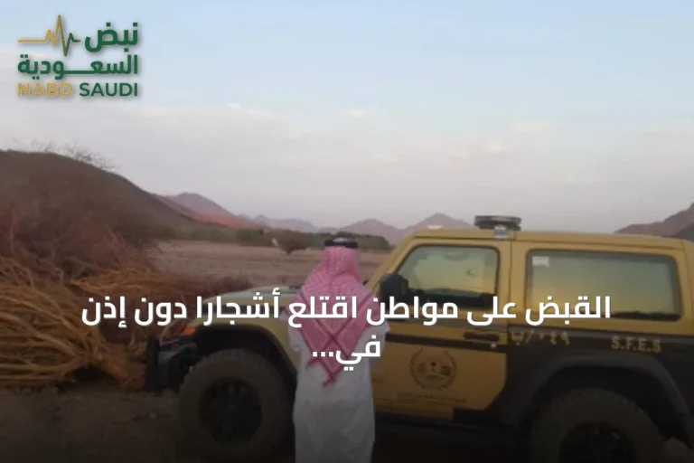 القبض على مواطن اقتلع أشجارًا دون إذن في منطقة المدينة المنورة