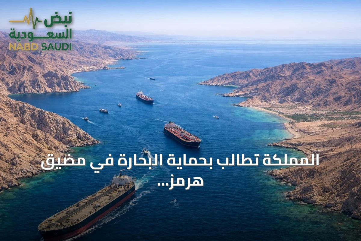 المملكة تطالب بحماية البحارة في مضيق هرمز أمام مجلس حقوق الإنسان