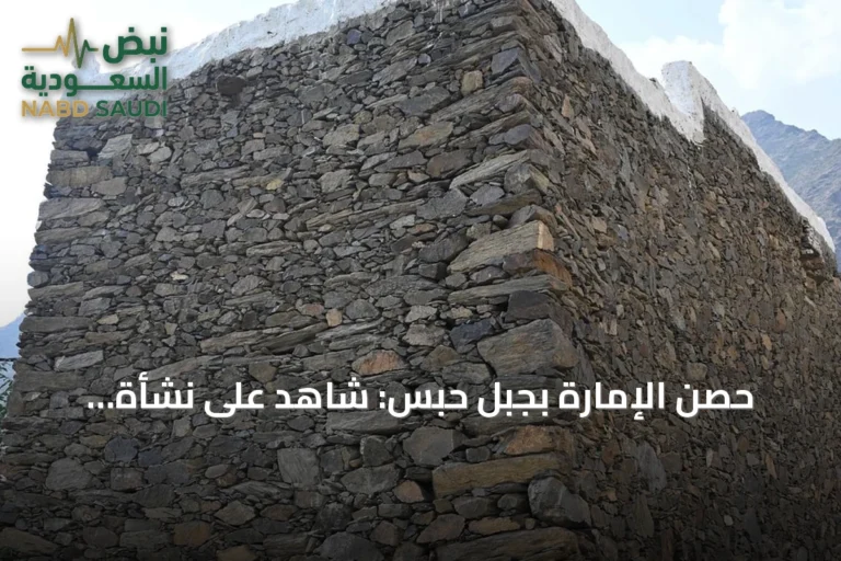 حصن الإمارة بجبل حبس: شاهد على نشأة الإدارة في الداير