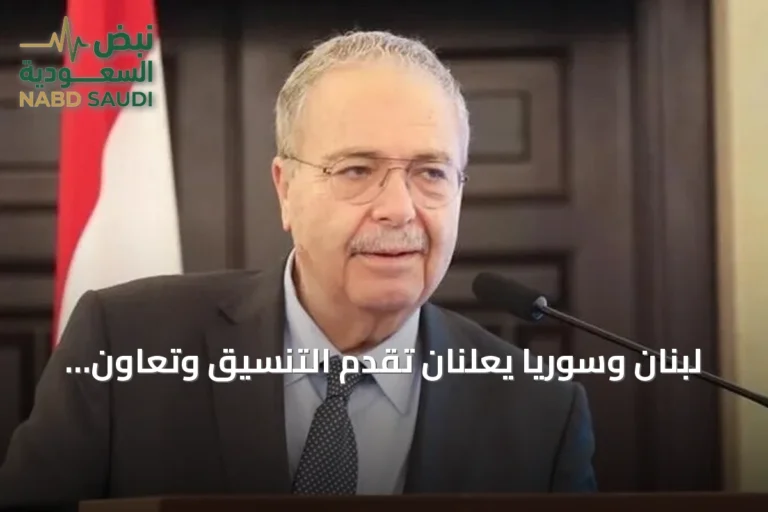 لبنان وسوريا يعلنان تقدم التنسيق وتعاون مؤسساتي متزايد