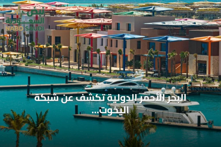 البحر الأحمر الدولية تكشف عن شبكة اليخوت لإدارة المراسي والنوادي على ساحل البحر الأحمر