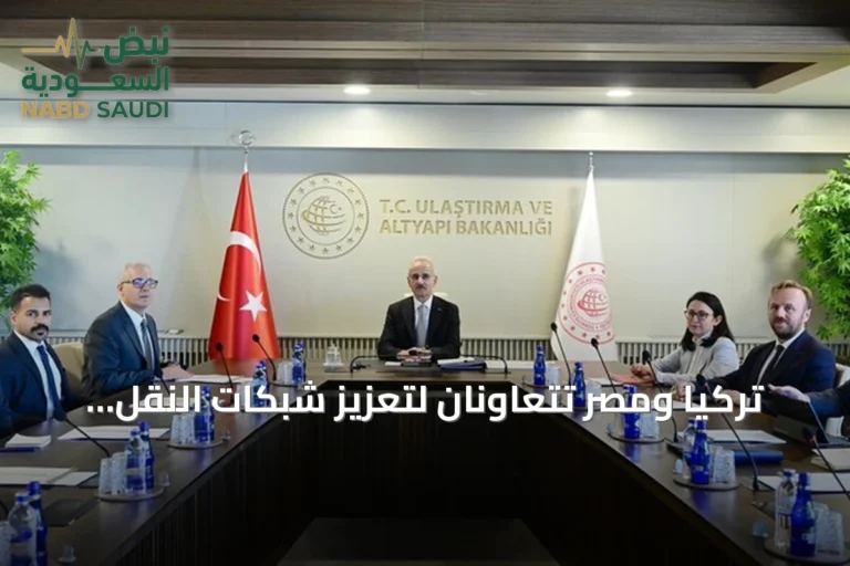 تركيا ومصر تتعاونان لتعزيز شبكات النقل والتجارة