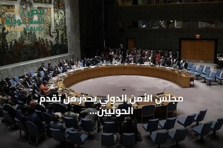 مجلس الأمن الدولي يحذر من تقدم الحوثيين في باب المندب ويؤكد تهديد الملاحة الدولية
