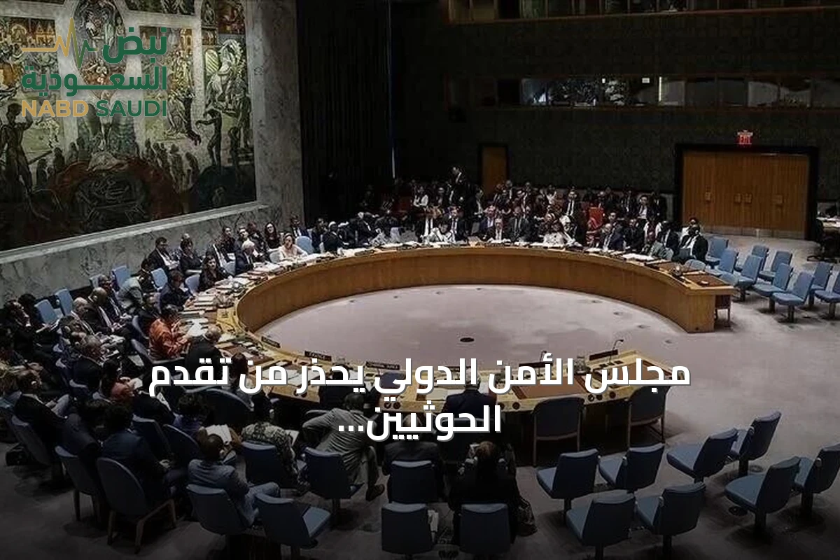 مجلس الأمن الدولي يحذر من تقدم الحوثيين في باب المندب ويؤكد تهديد الملاحة الدولية
