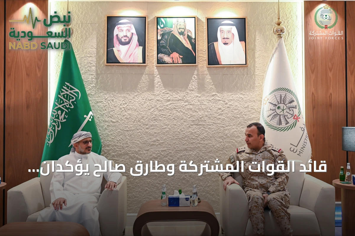 قائد القوات المشتركة وطارق صالح يؤكدان على تنسيق الجهود لتعزيز جاهزية القوات اليمنية