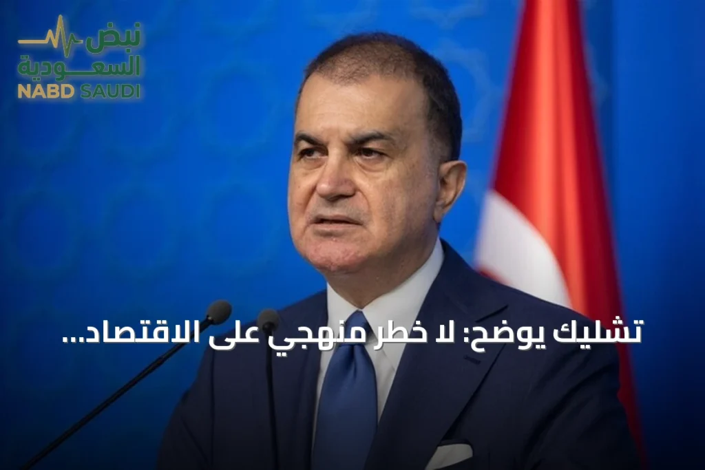 تشليك يوضح: لا خطر منهجي على الاقتصاد التركي وإجراءات صارمة ضد المتورطين
