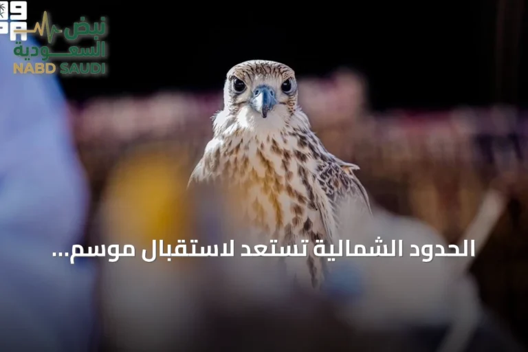 الحدود الشمالية تستعد لاستقبال موسم المقناص وعبر صحراء الحماد