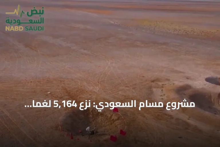 مشروع مسام السعودي: نزع 5,164 لغماً وذخيرة غير منفجرة في اليمن خلال سبتمبر