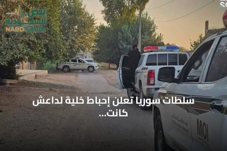 سلطات سوريا تعلن إحباط خلية لداعش كانت تنشط في أربع محافظات