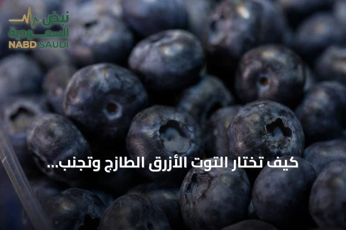 كيف تختار التوت الأزرق الطازج وتجنب العلامات الدالة على الفساد