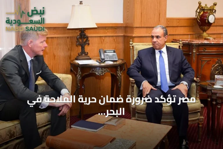 مصر تؤكد ضرورة ضمان حرية الملاحة في البحر الأحمر وباب المندب