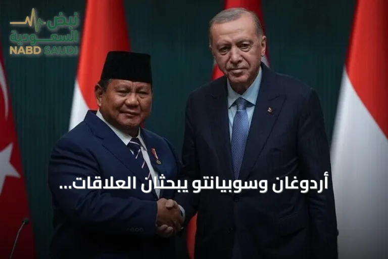 أردوغان وسوبيانتو يبحثان العلاقات الثنائية ويدعوان لحضور كوب 31