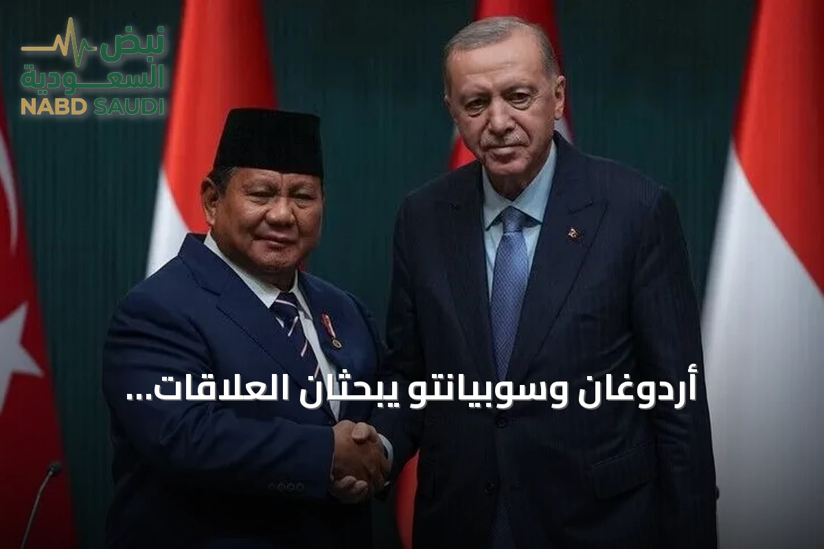 أردوغان وسوبيانتو يبحثان العلاقات الثنائية ويدعوان لحضور كوب 31