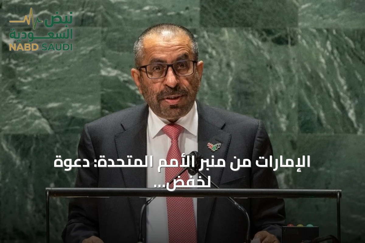 الإمارات من منبر الأمم المتحدة: دعوة لخفض التصعيد بالمنطقة