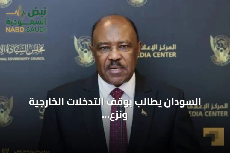 السودان يطالب بوقف التدخلات الخارجية ونزع سلاح الدعم السريع أمام الأمم المتحدة