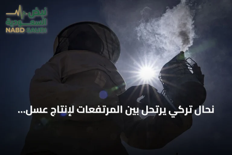 نحال تركي يرتحل بين المرتفعات لإنتاج عسل عضوي مدعوم حكومياً