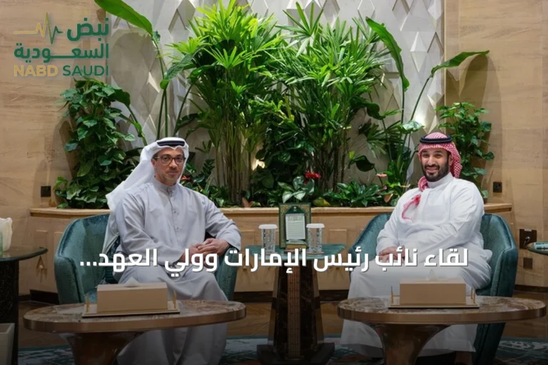 لقاء نائب رئيس الإمارات وولي العهد السعودي يناقش مستجدات المنطقة