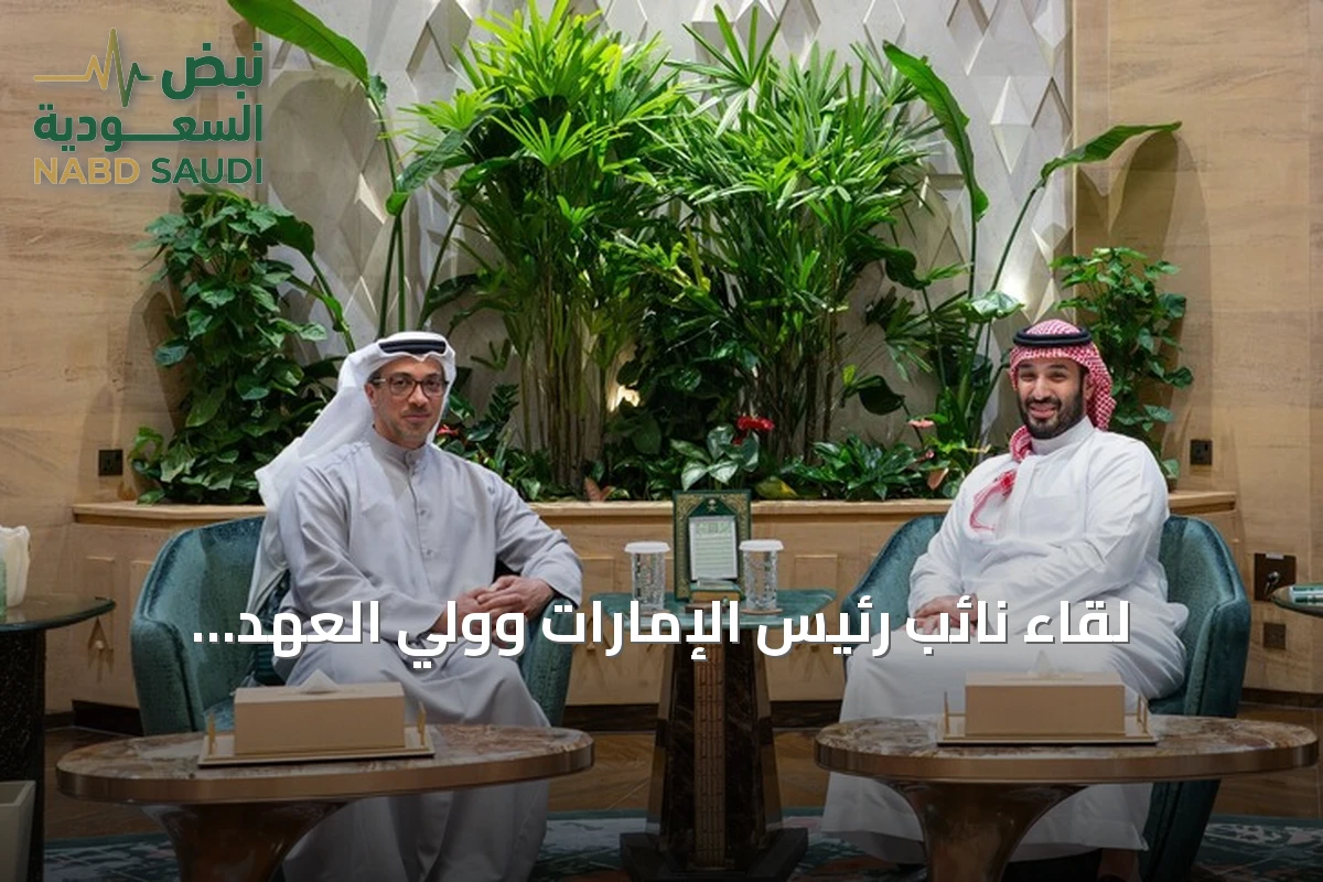 لقاء نائب رئيس الإمارات وولي العهد السعودي يناقش مستجدات المنطقة
